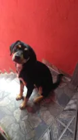 SAFIRA