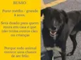 BUSÃO