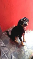 SAFIRA