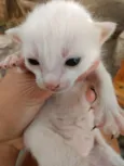 Nathy, Kat , vivi , 