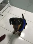 Luma