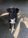 Tina