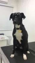 Tina