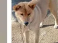 Aika
