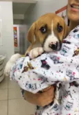 Astro 