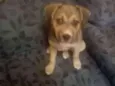 Jully