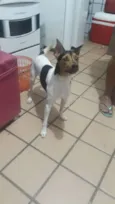 Darwin 