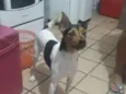 Darwin 