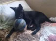 Zeus
