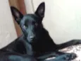 Zeus