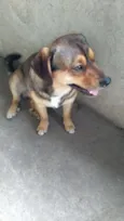 Fred