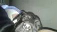 Erik