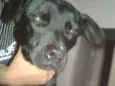 Erik