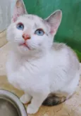 MARÍLIA MIX