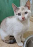 MARÍLIA MIX