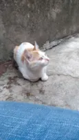 Haru
