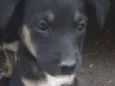 Não tem nomes