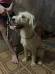 Billy
