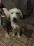 Billy