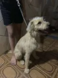 Billy