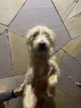 Billy