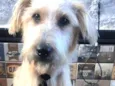 Billy
