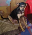 Kyara 1 ano linda
