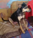 Kyara 1 ano linda