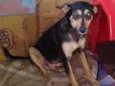 Kyara 1 ano linda