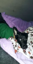 Max