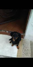 Sem sono