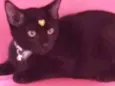 Mimi