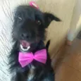 Lupita