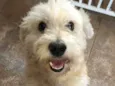 Théo