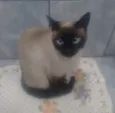 Mel