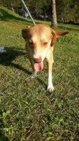 Jack