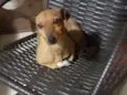 Nenê 