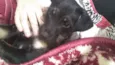 Tobby