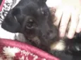 Tobby