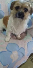 NANICO