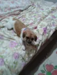 NANICO