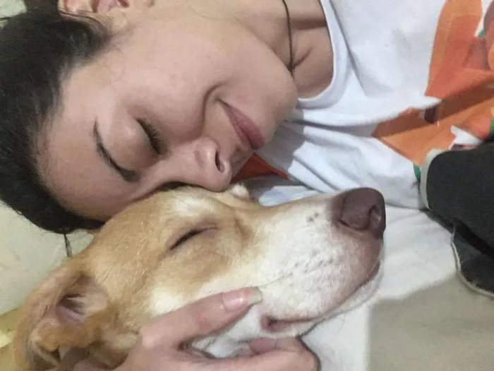 Cachorro ra a SRD / porte pitbull idade 7 a 11 meses nome Tequila