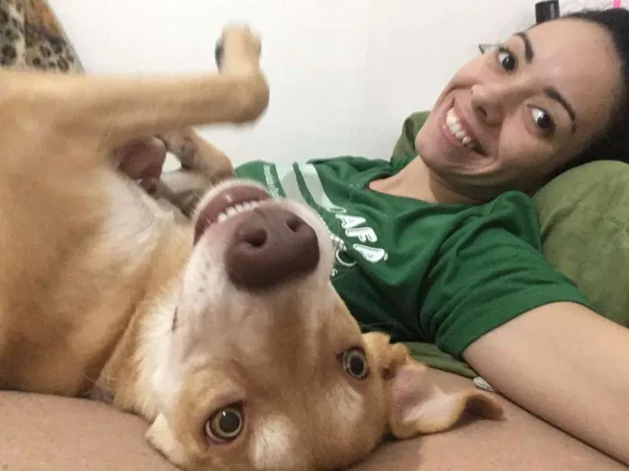 Cachorro ra a SRD / porte pitbull idade 7 a 11 meses nome Tequila