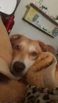 Tequila