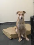 Tequila