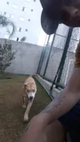 Tequila