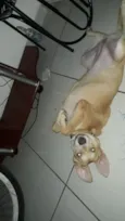 Tequila
