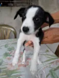 Não tem