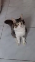 Guguinha