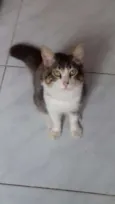 Guguinha